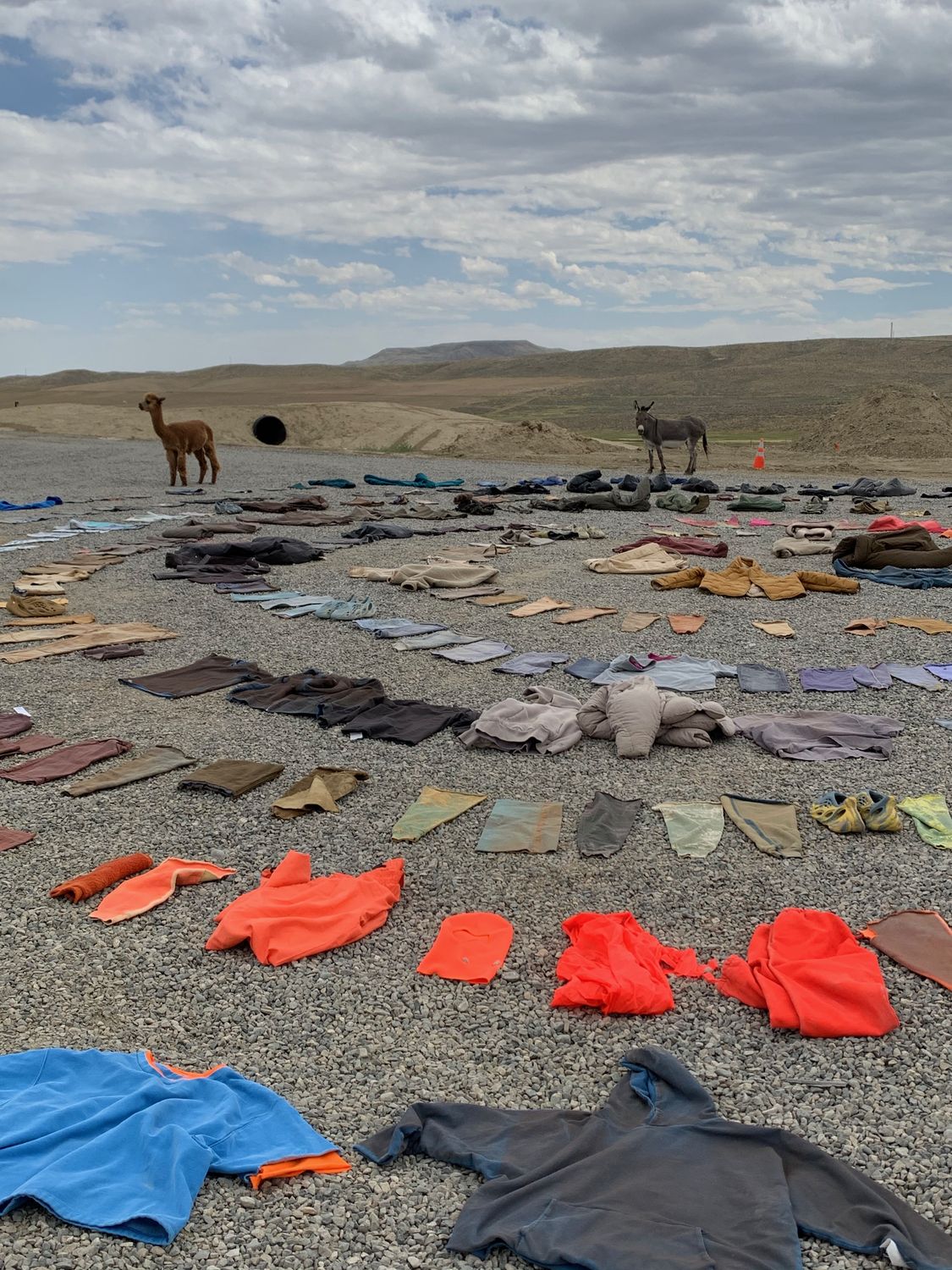 The full wardrobe laid out and color-graded across open ground, an alpaca and donkey in the distance